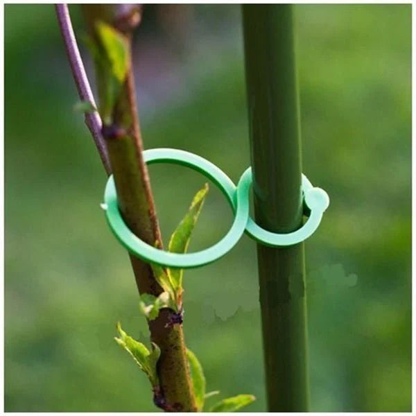 Pflanzenhalter für den Garten - Damit wachsen die Pflanzen wie Sie es wollen!