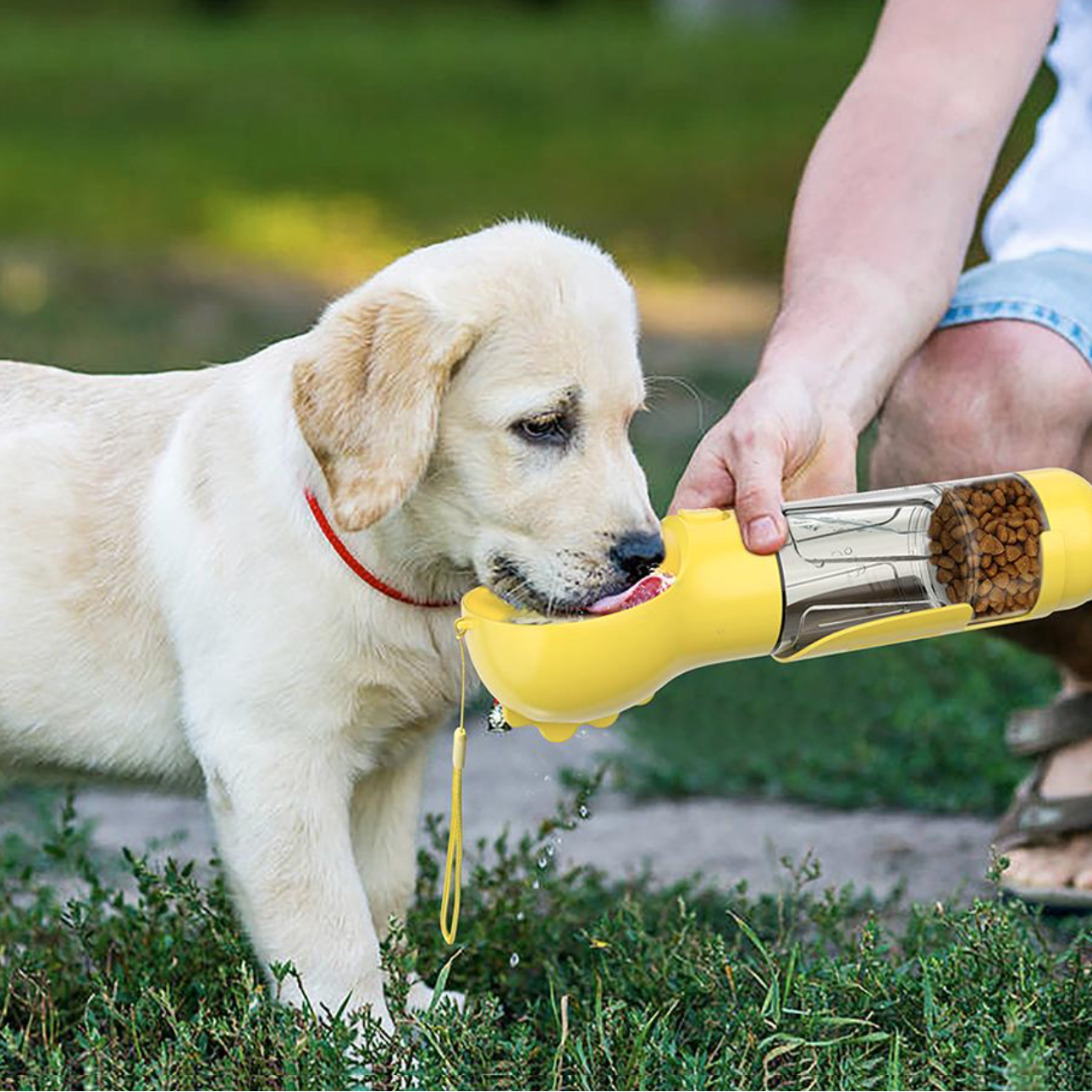 DogViva™ — Sofortige Hydratationsfreiheit für glückliche, energiegeladene Hunde