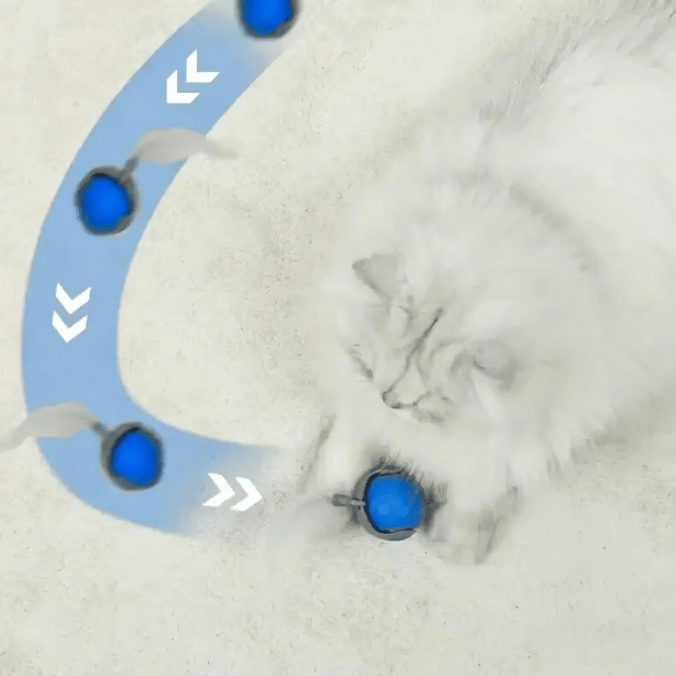 Ultimativer Spielball für Katzen - Selbst-aktivierend