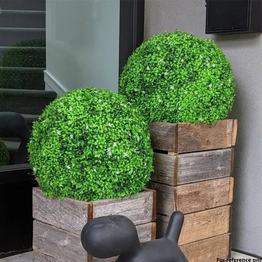 DecoPlant - Diese Pflanze ist immer grün!