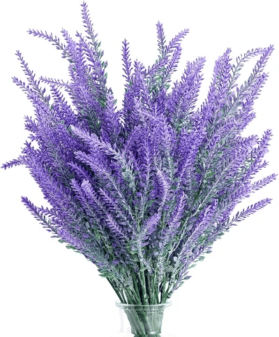 LavéaMist™ – Zeitlose Lavendel-Schönheit, die mühelos gedeiht