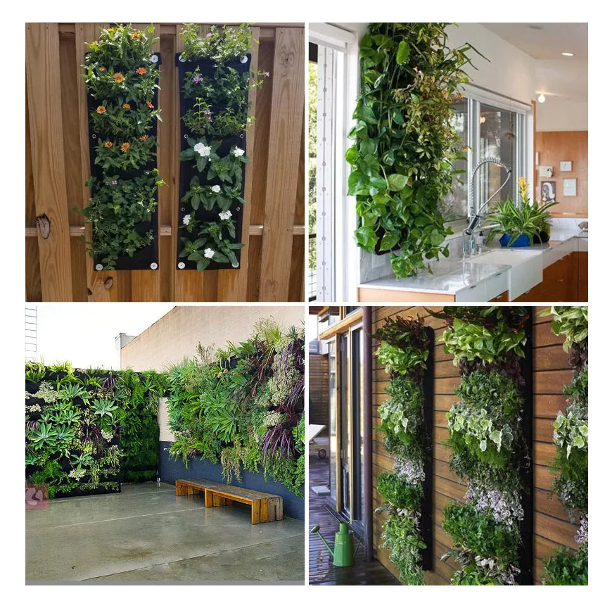 WallNest - Vertikal hängende Gartenpflanze