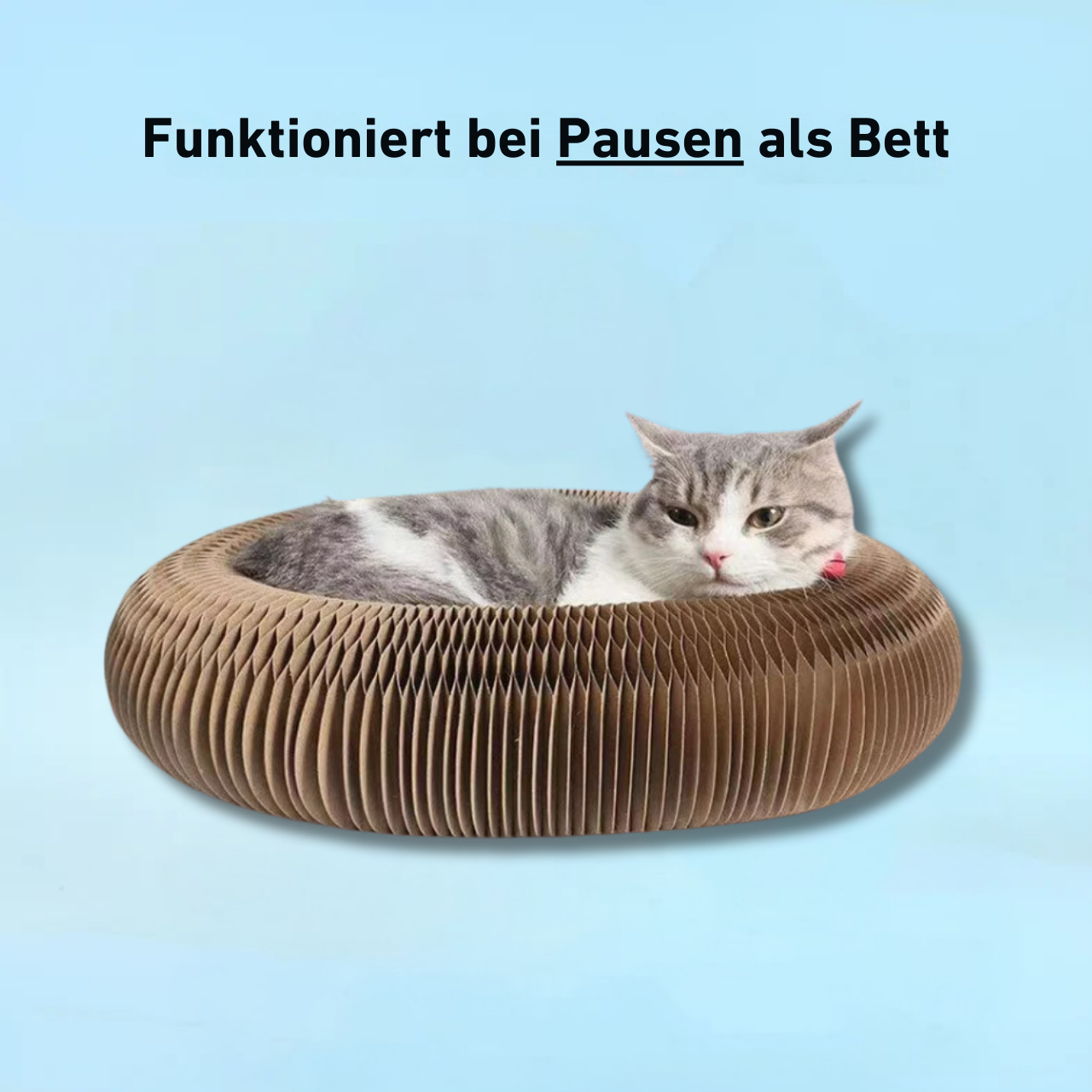 PouncePlay™ - Kratzspielzeug mit Glöckchenball