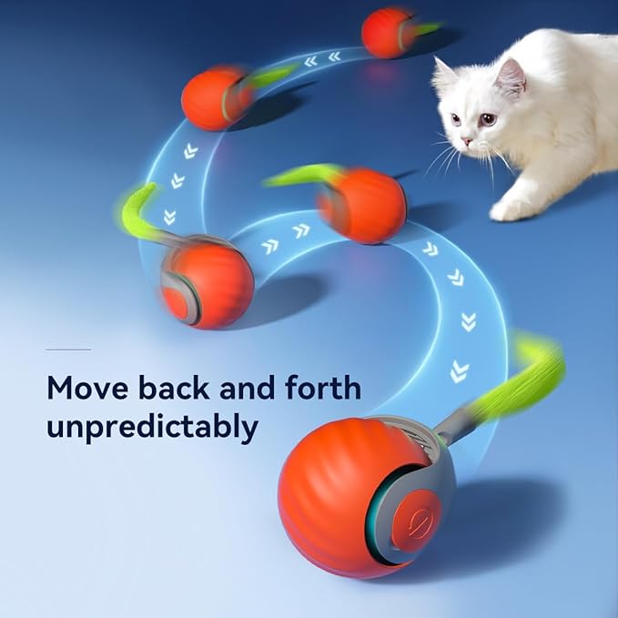 Ultimativer Spielball für Katzen - Selbst-aktivierend