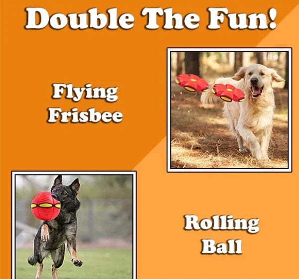 FurryFlyer™ - Der Scheibenball für Hunde 1+1 GRATIS