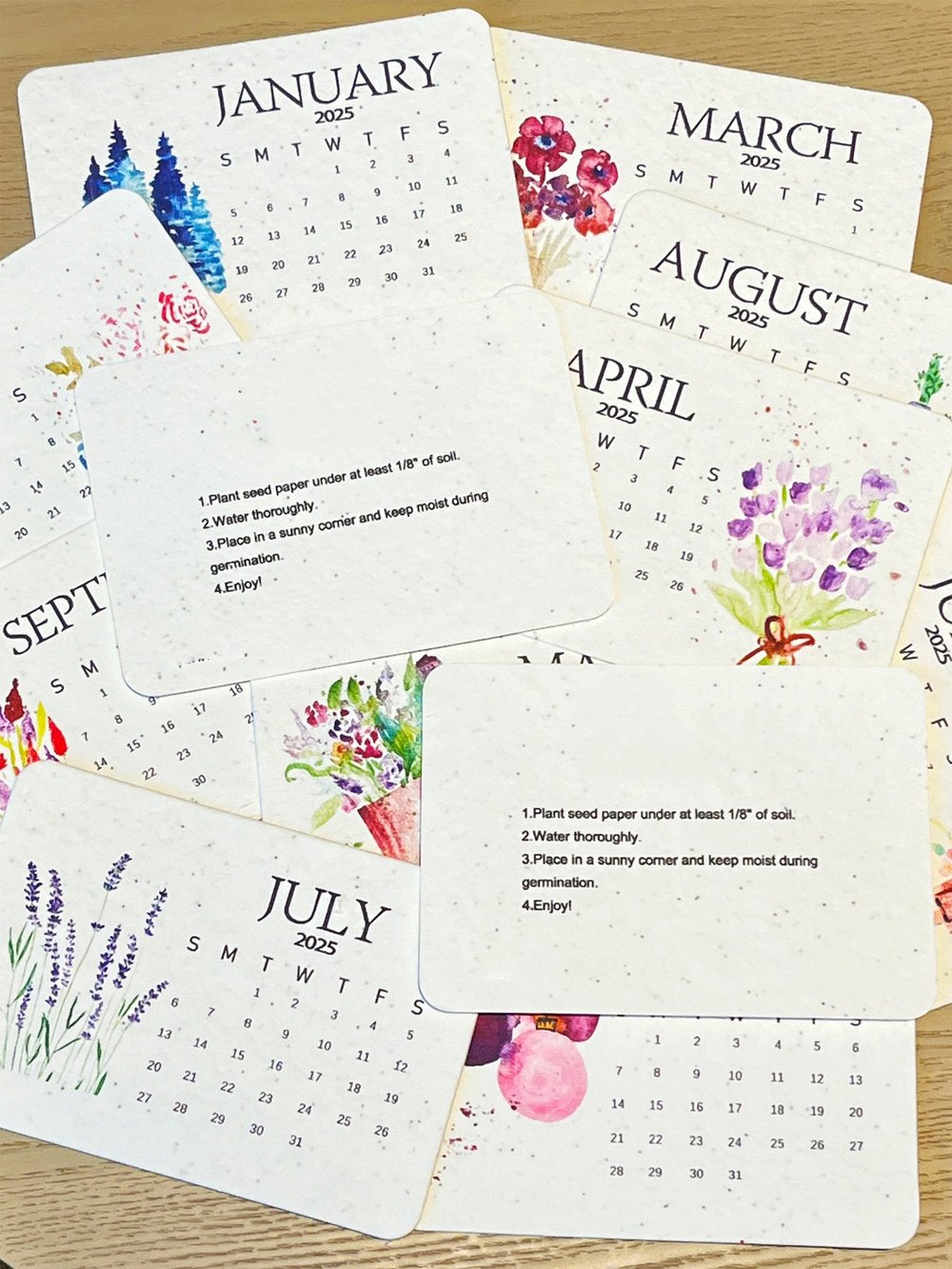 1+1 GRATIS | VerduraBloom™ — Bringen Sie Ihr Zuhause mit monatlichen Bio-Gartensurprises zum Leben