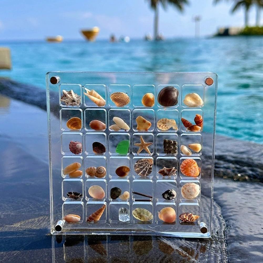 ShellGlo™ - Acryl Magnet Muschel Aufbewahrungsbox