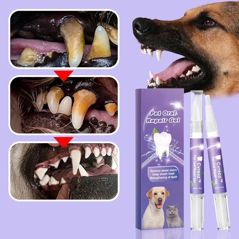 1+1 Gratis | VitaSmile™ Entfernen Sie hartnäckigen Zahnstein und Flecken mühelos – sorgen Sie für strahlende Zähne Ihres Haustiers