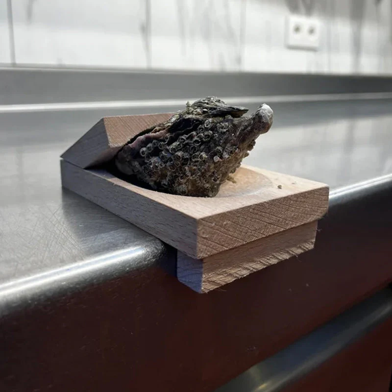 50% RABATT | EasyOyster - Austern in Sekundenschnelle öffnen! [Letzter Tag Rabatt]