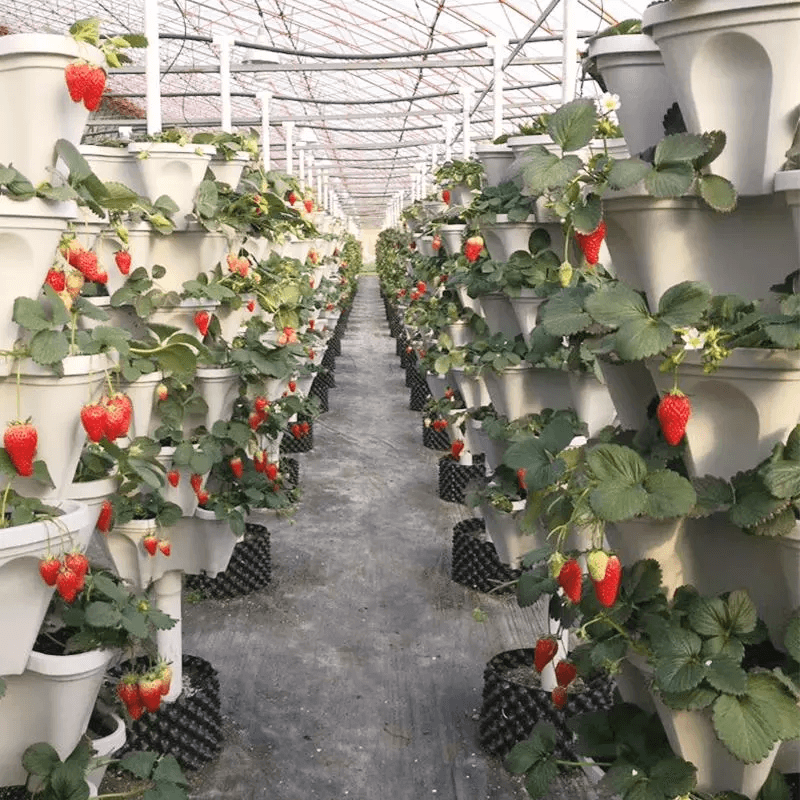 SkyGrow™ — Verwandeln Sie winzige Räume in üppige, mühelose Gärten
