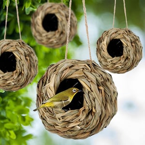 NestHaven – Biete Kolibris ein sicheres Zuhause für jedes Jahr