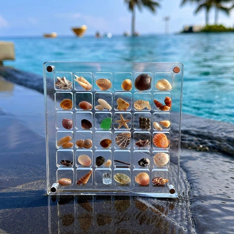 ShellGlo™ - Acryl Magnet Muschel Aufbewahrungsbox