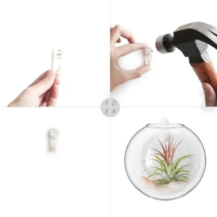 1+1 Gratis | Elegante Glas-Wandvase – Minimalistischer Pflanzenhalter