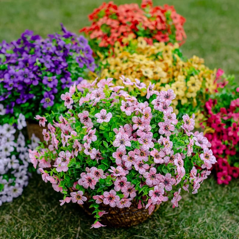 SunSafe Bloom™ — Endlose frische Blumen, mühelose Schönheit