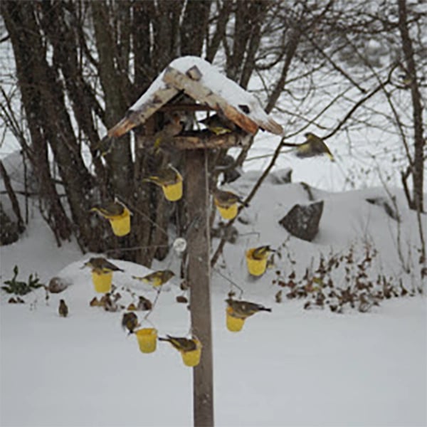 Vogelfutterstation im Riesenrad-Design