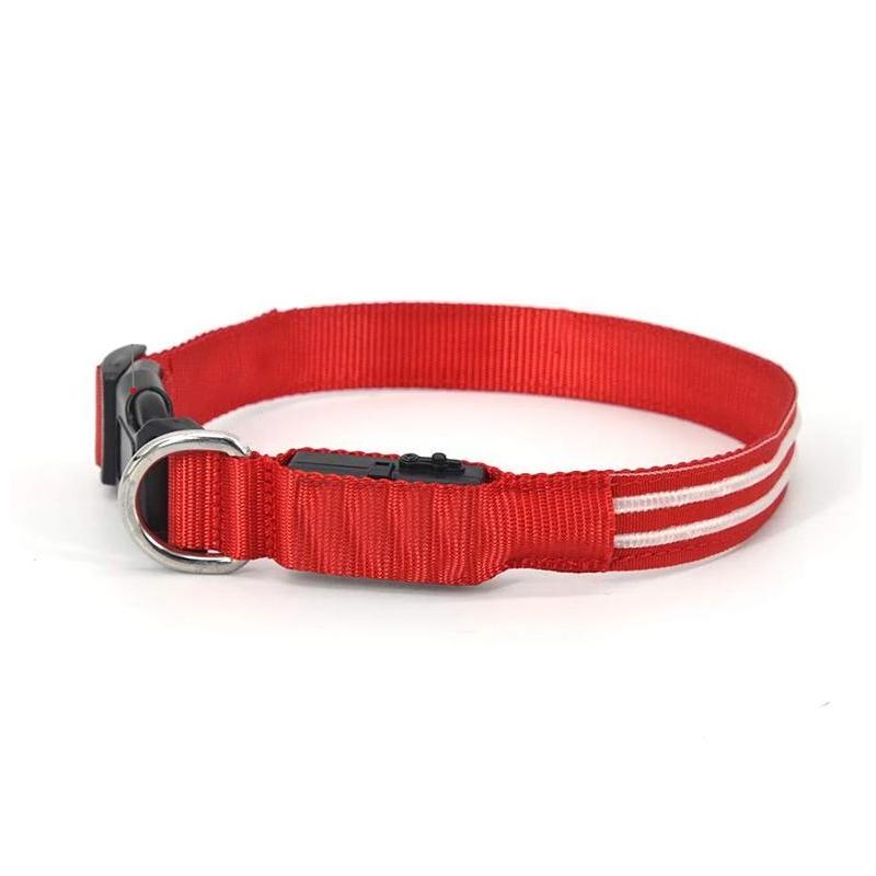 LED-Halsbänder für Hunde™