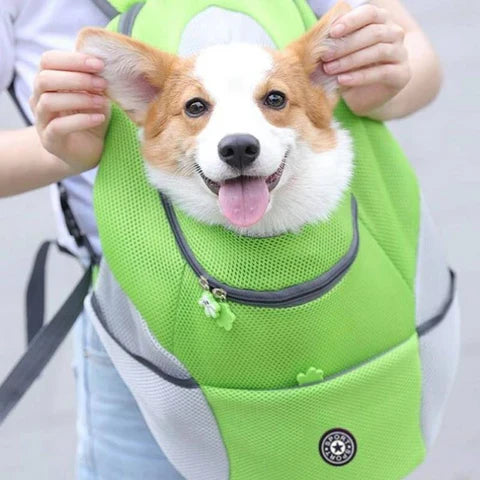 PetBuddy – Komfortable Hundetasche für sichere Abenteuer | 50% RABATT