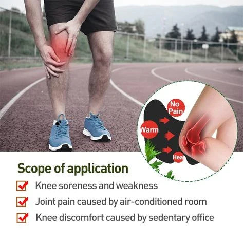 PowerPad™ Gelenkpflaster | Sofortige Schmerzlinderung | Mit Heilpflanzenextrakten | 60 Stück