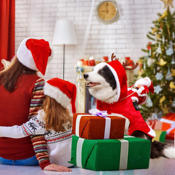 Weihnachtshund | 50% RABATT