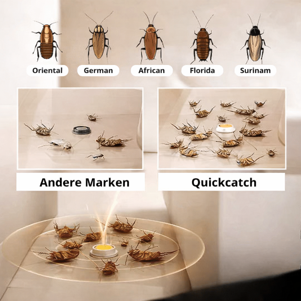 Kakerlakenköder | Langzeitwirkung | Haustiersicher | RoachGuard