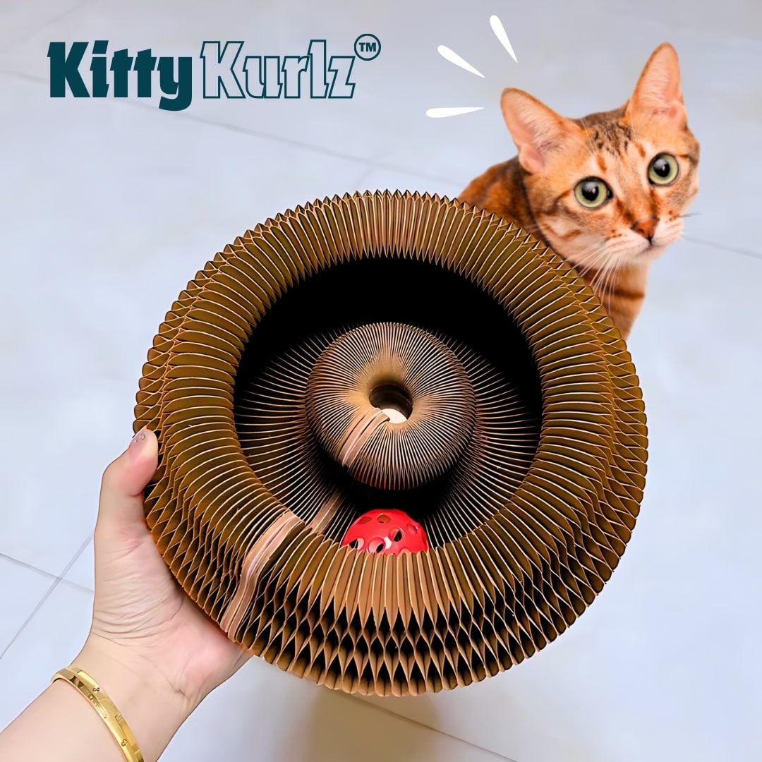 Kitty Kurlz | Magisches, organisches, faltbares Katzenspielbrett
