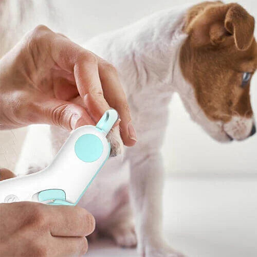 LightPaws™ – Sorgt bei jeder Fellpflege für ruhige und sichere Sitzungen