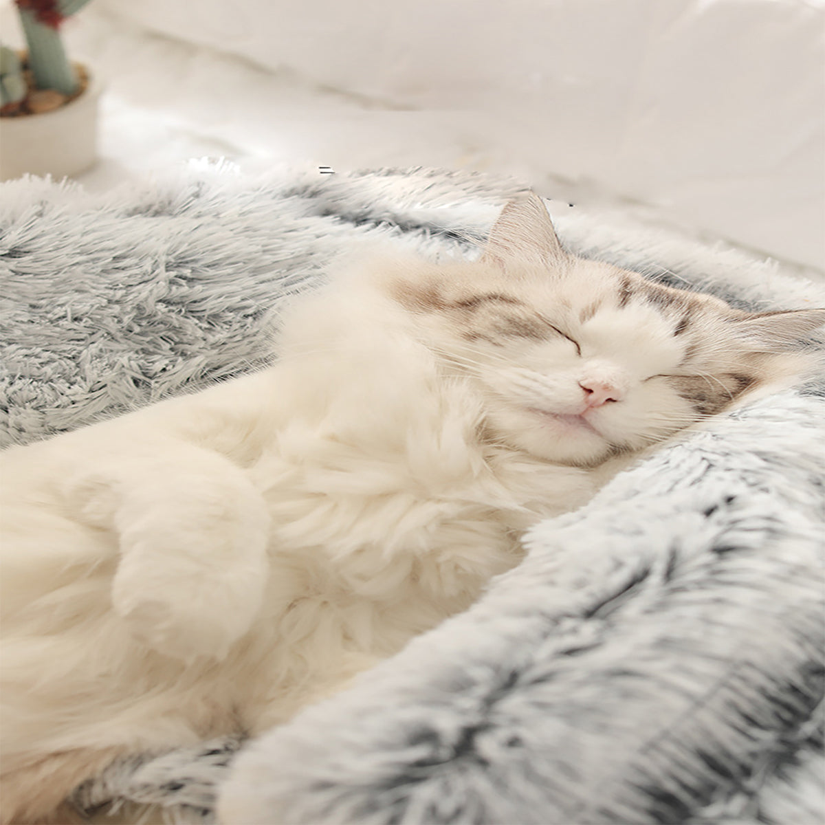 SnugPaw™ - Jeder Hund und jede Katze verdient es, hier zu liegen