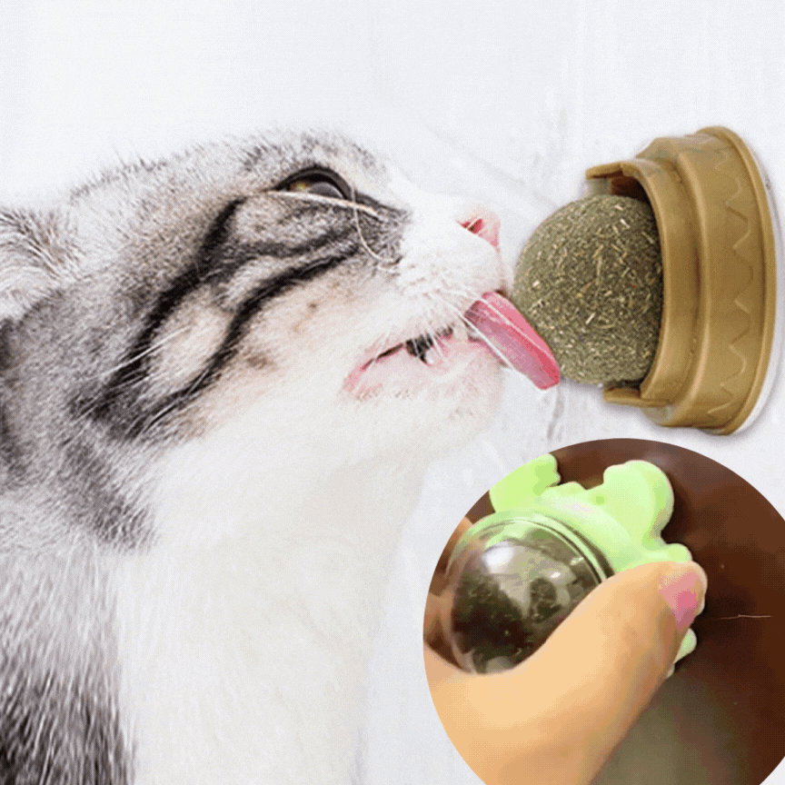 Catnip™ Natürliches Katzenminze-Spielzeug 1+1 GRATIS!