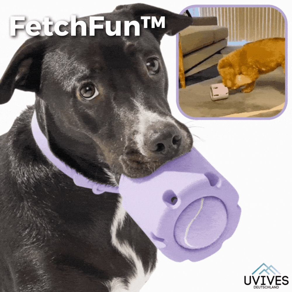 FetchFun™ | Tennis Hundekauspielzeug