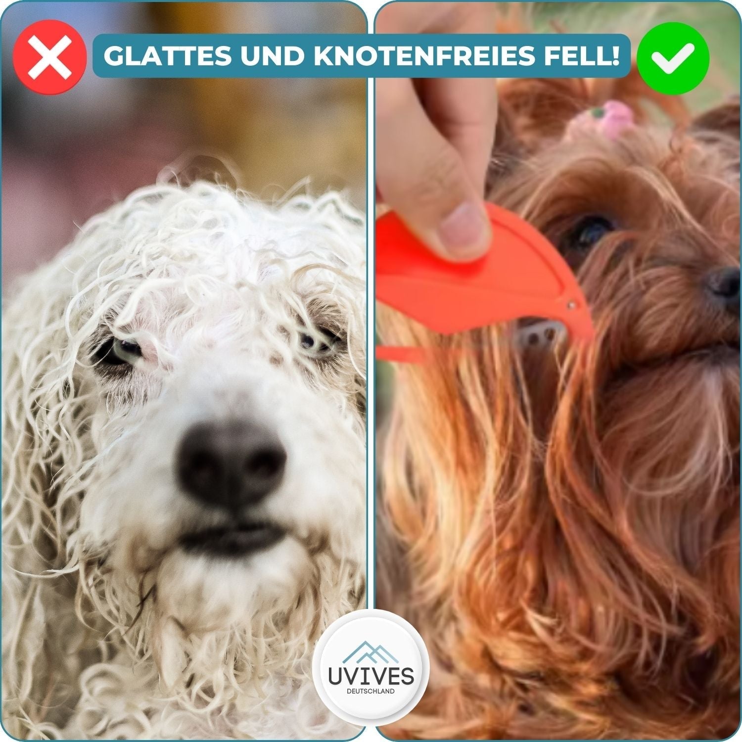 PetSanity™ | Milbenentferner für Katzen und Hunde