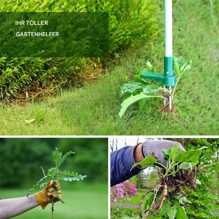 RootVanish™ - Stehende Pflanze Wurzelentferner