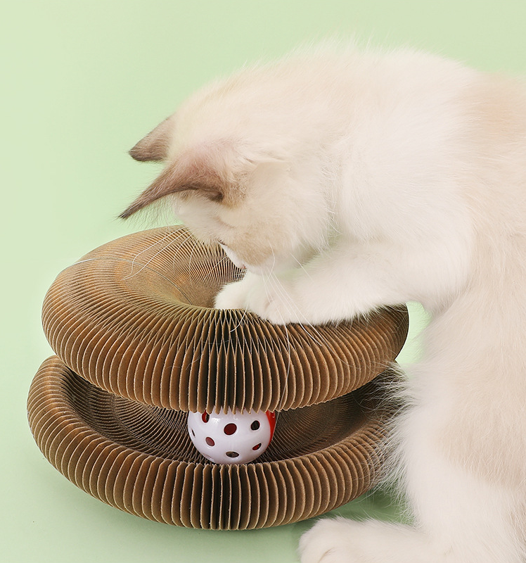 Scratchora™ - Krümelfreies transformierbares Katzenspielzeug