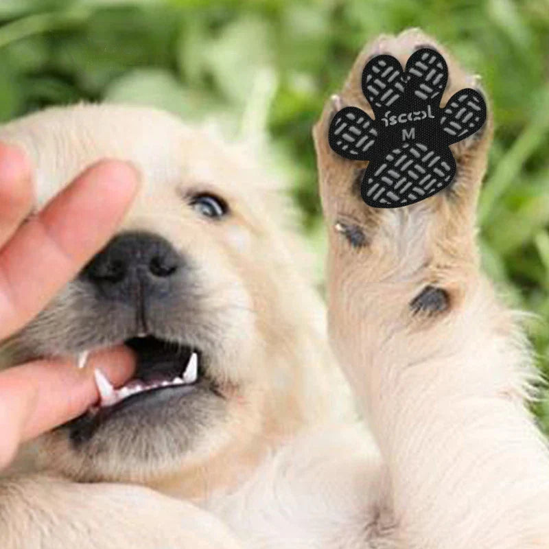 PawSafe - 4 Stück SAnti-Rutsch-Schutz-Aufkleber | 50% RABATT