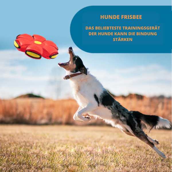 Flugball™ - Der Robuste Flugball für Ihren Hund