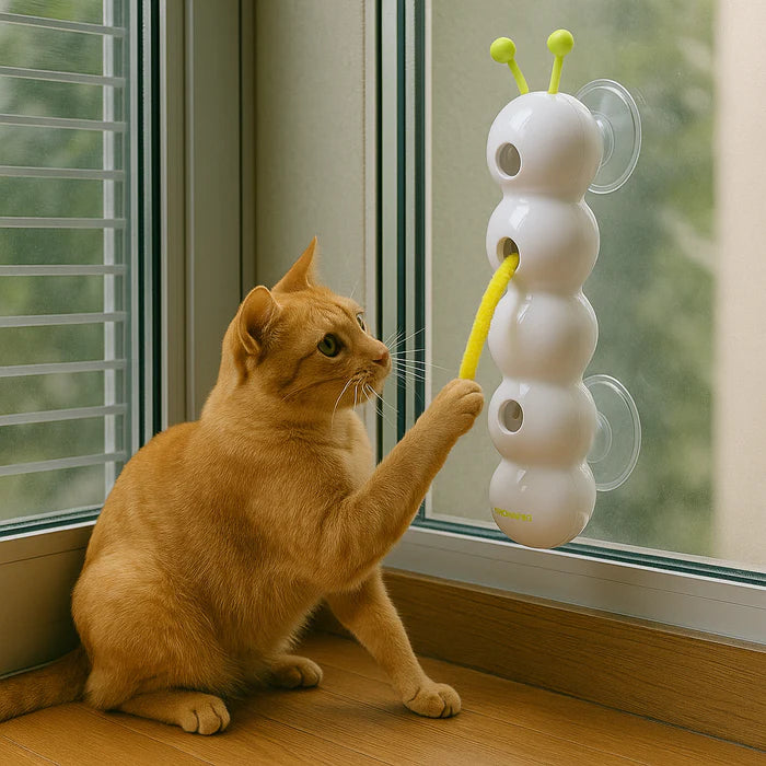 ThrillPlay™ – Entfache die wilden Instinkte deiner Katze für endlose Energie und Spaß