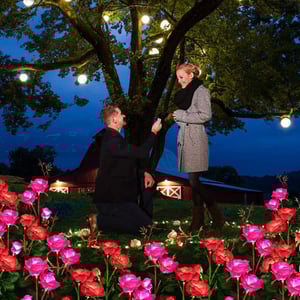 RoseGlow – Romantische Gartenbeleuchtung ganz ohne Strom