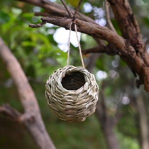 NestHaven – Biete Kolibris ein sicheres Zuhause für jedes Jahr