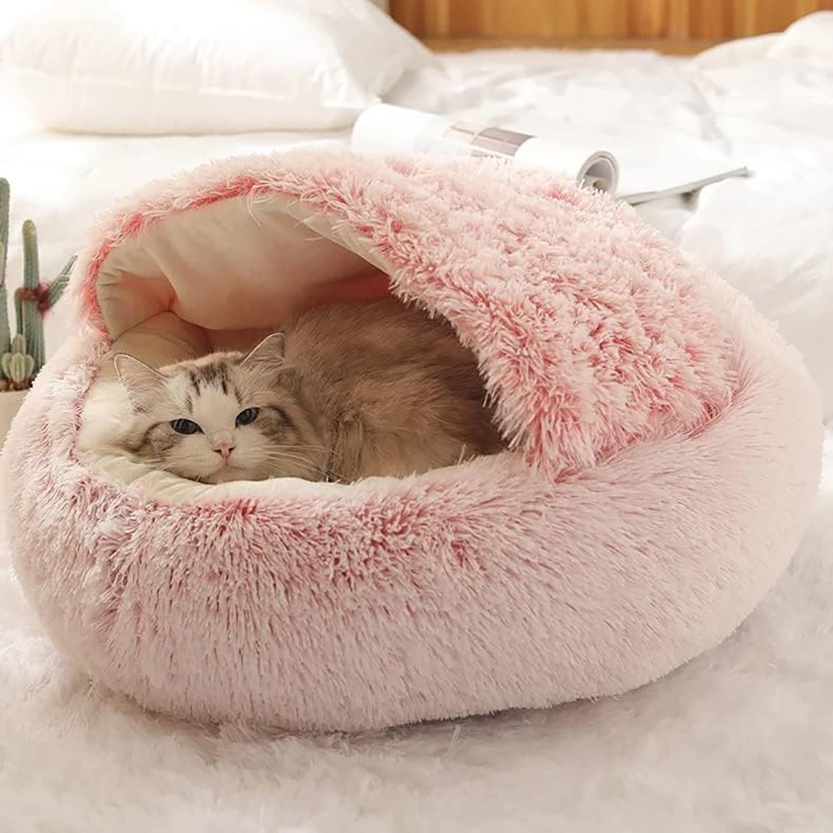 SnugPaw™ - Jeder Hund und jede Katze verdient es, hier zu liegen