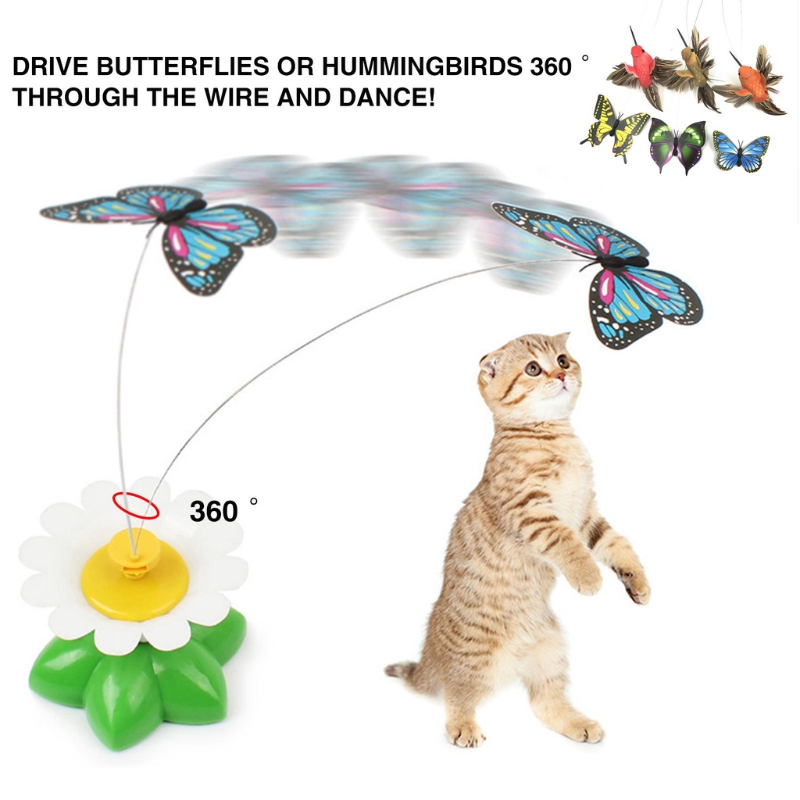 360° rotierender Spielzeugvogel für Katzen – Stressabbau für Haustiere