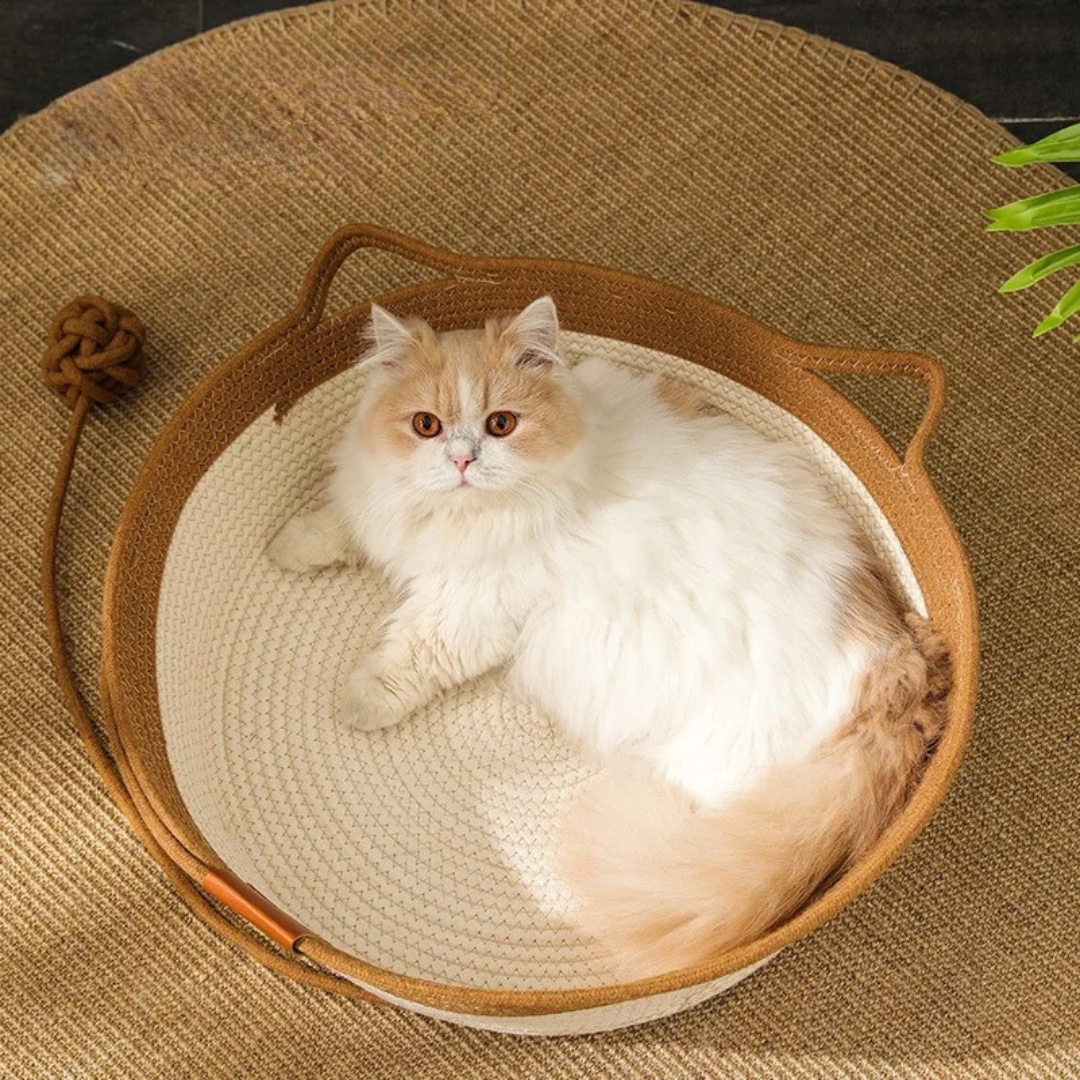 CozyCat - Langlebig Baumwollseil-Katzenbett – Stilvoll und extrem bequem | 50% RABATT