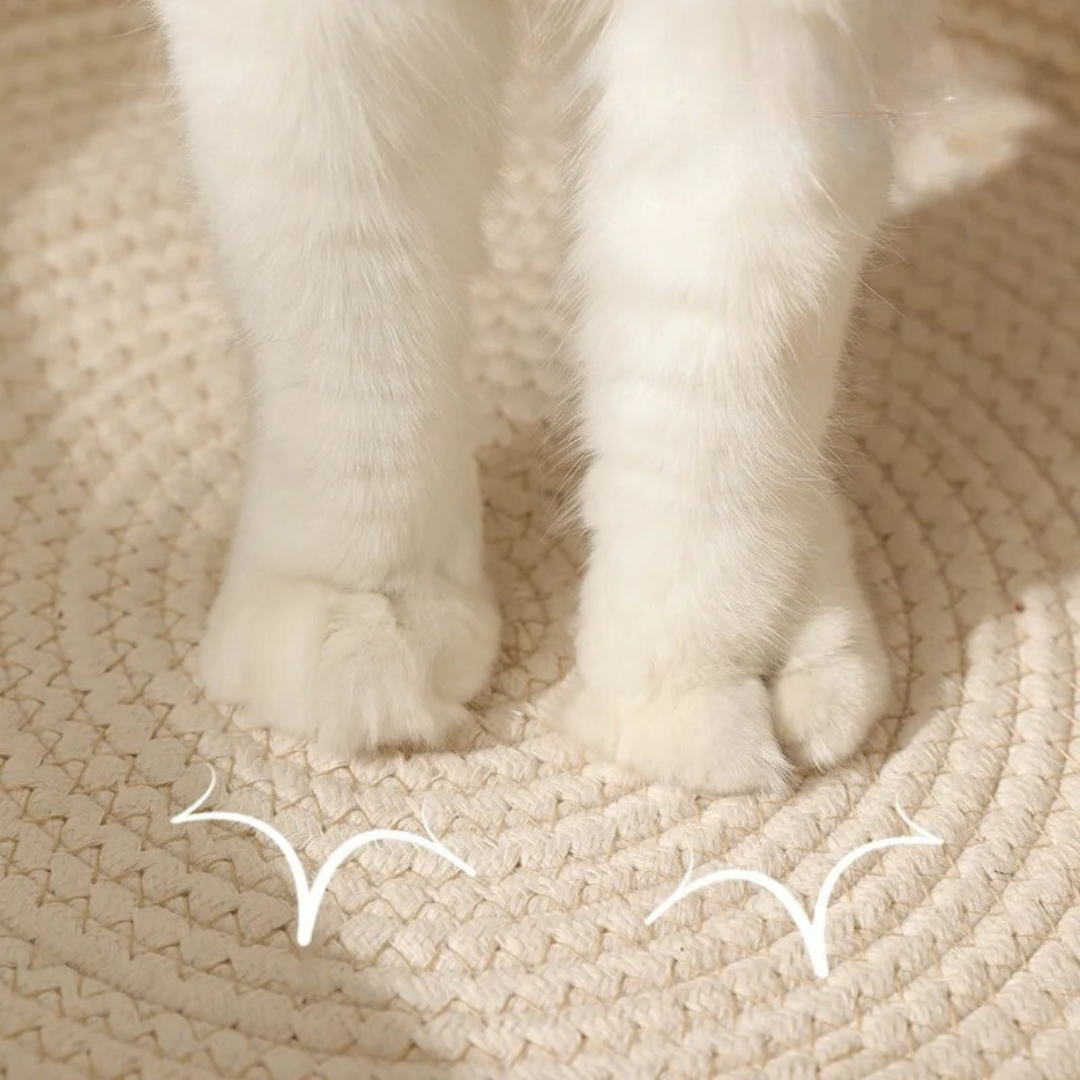 CozyCat - Langlebig Baumwollseil-Katzenbett – Stilvoll und extrem bequem | 50% RABATT