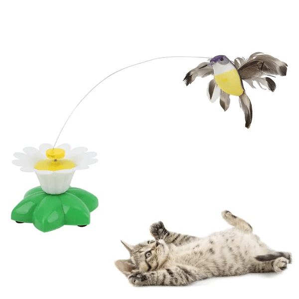 360° rotierender Spielzeugvogel für Katzen – Stressabbau für Haustiere