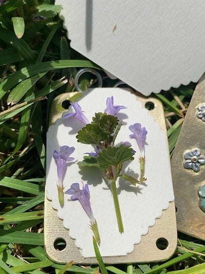 BloomCrest™ — Taschenformatige Magie zur Bewahrung der natürlichen Schönheit für immer