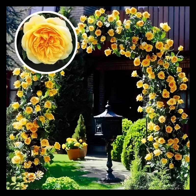 1+1 GRATIS | BloomVine™ — Verwandeln Sie Ihren Raum in eine üppige, romantische Gartenoase