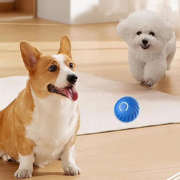 PupPlay™ - Automatischer Smart Teasing Hundeball (50% RABATT)