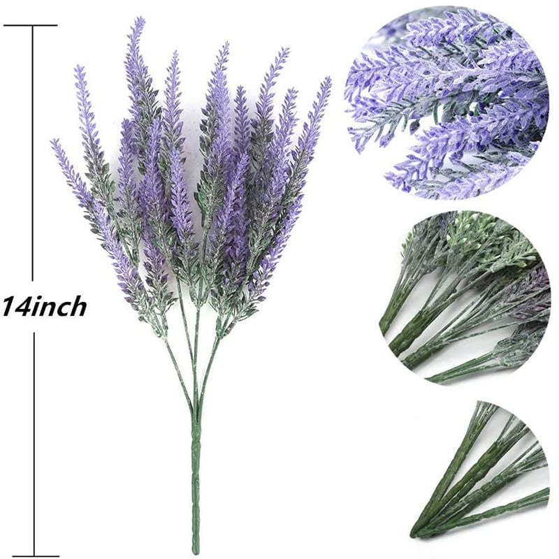 LavéaMist™ – Zeitlose Lavendel-Schönheit, die mühelos gedeiht