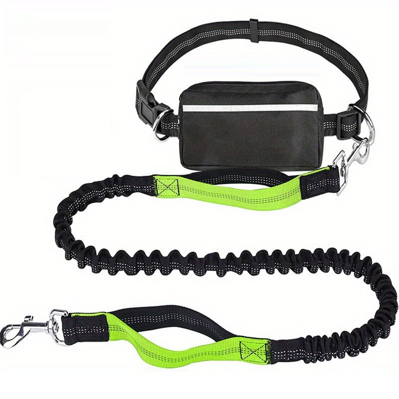 Verstellbare Hundeleine mit integrierter Tasche – Für mehr Komfort und Sicherheit beim Gehen