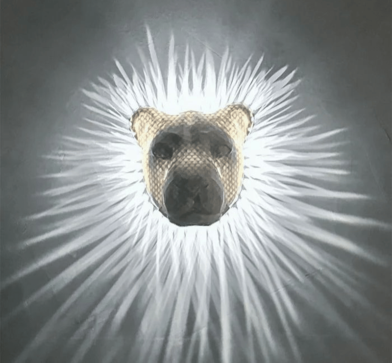 WildGlow™ - 3D Tiere LED Wandleuchte (50% RABATT)