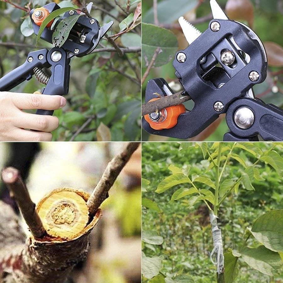 GrowMasters™ — Verwandeln Sie Ihren Obstgarten mit perfekten, kraftvollen Veredelungen bei jedem Mal