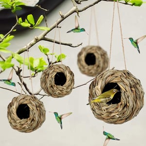 NestHaven – Biete Kolibris ein sicheres Zuhause für jedes Jahr